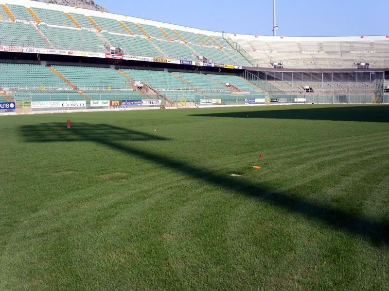 Notizie Palermo calcio